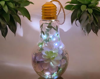 Hanging Lightbulb Terrarium