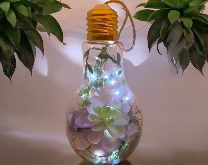 Hanging Lightbulb Terrarium