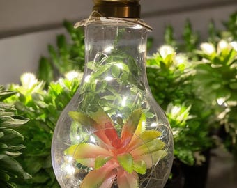 Hanging Lightbulb Terrarium