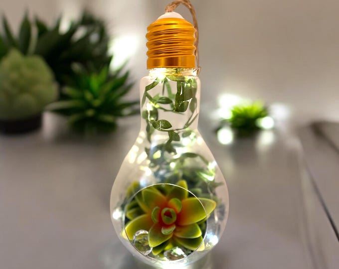Hanging Lightbulb Terrarium