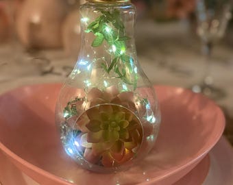 Hanging/Tabletop Lightbulb Terrarium