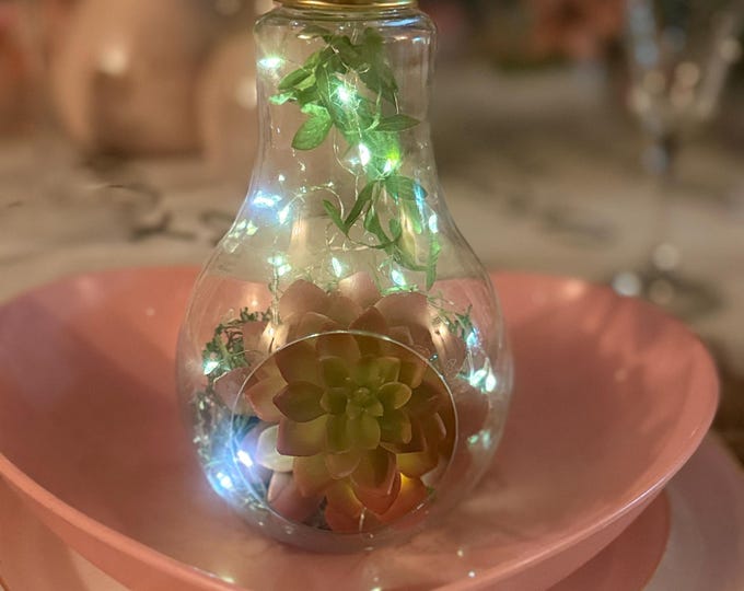 Hanging/Tabletop Lightbulb Terrarium