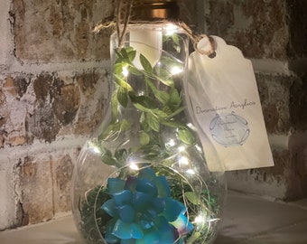 Hanging Lightbulb Terrarium