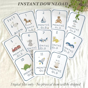 May include: A set of baby milestone cards featuring illustrations of a rocking horse, a sailboat, a teddy bear, and other baby-themed images. Each card is numbered and marked with "Months Old". The text "Instant Download" is at the top.