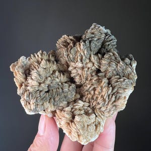 重晶石と黄鉄鉱 | UV鉱物標本