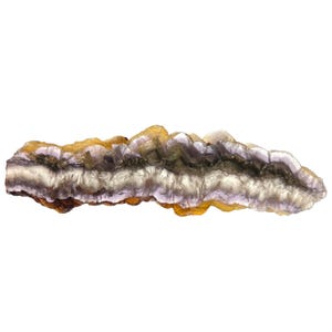 May include: A long, thin, purple and brown mineral specimen with a layered, striated texture.