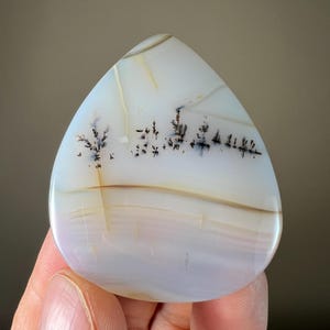 May include: A polished, teardrop-shaped gemstone with a white base, featuring delicate, tree-like inclusions in black and brown. The stone has layers of soft, creamy colors and a smooth, glossy finish. A unique piece for jewelry or collection.