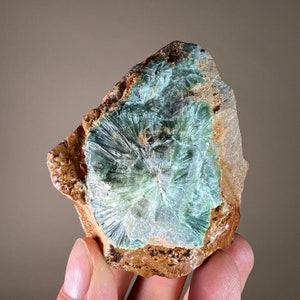 May include: A green and brown rock with a unique, radial pattern. The rock has a rough, textured surface and a natural, organic shape.