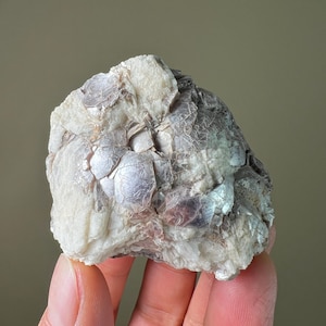 May include: A close-up of a natural mineral specimen. The rock has a layered appearance with a mix of white, gray, and iridescent silver-colored sections. The surface has a textured, crystalline appearance.