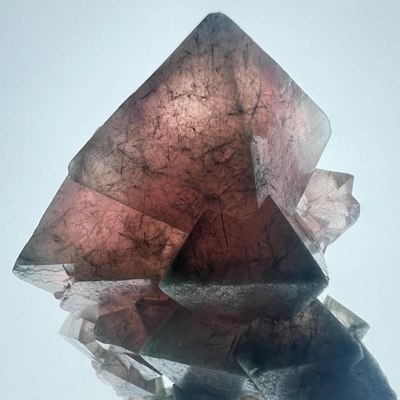 Fluorite | Pink Fluorite Octahedron Crystal Cluster With Byssolite