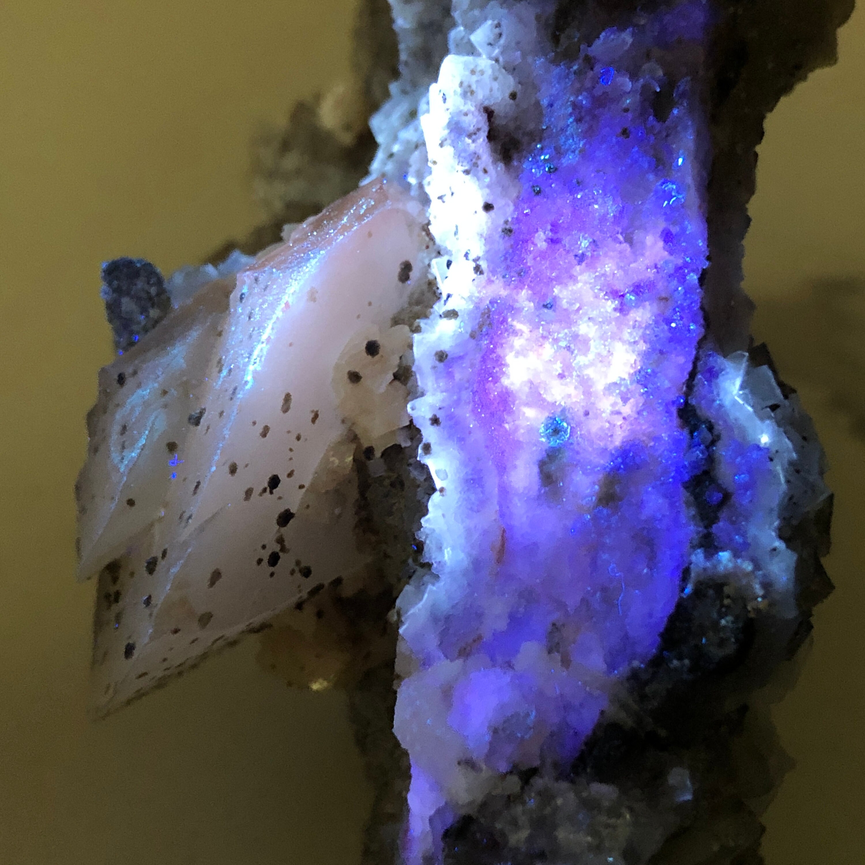 黄色蛍石上の方解石結晶 | 方解石入り金色蛍石 | スペイン産UV鉱物標本