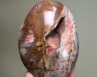 Polished Petrified Wood Freeform | Madagascar Fossil Wood w Druzy Quartz Cave