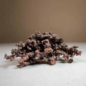 Pode incluir: Um esp&eacute;cime de cobre natural com uma superf&iacute;cie &aacute;spera e texturizada e uma cor castanho-avermelhada. A forma&ccedil;&atilde;o mineral tem uma estrutura complexa e ramificada, e est&aacute; sobre uma superf&iacute;cie branca. O fundo &eacute; de cor bege neutra.