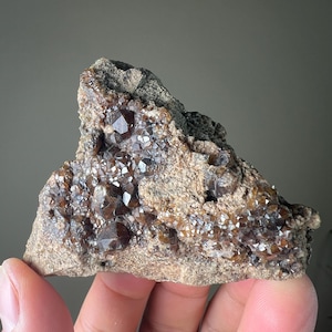 Andradite | Brown Garnet Crystals on Matrix | Grossular Garnet Mineral Specimen from New Mexico