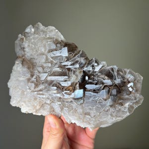 Smoky Quartz Cluster | Jacare Crystal | Alligator Quartz