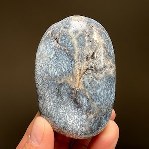 May include: A polished, oval-shaped stone with a dendritic pattern. The stone features a mix of gray, white, and tan colors, with intricate, tree-like patterns across its surface. The stone is held in a hand, showcasing its natural beauty.