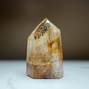 May include: A clear, faceted crystal with a golden-yellow hue. The crystal features dark, fern-like inclusions and a polished surface. The base is a lighter shade of yellow, and the crystal is displayed on a white surface.