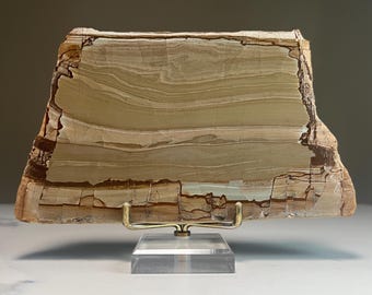 Pietra Paesina Stone | Picture Jasper | Landscape Stone from Italy | Natural Mineral Specimen