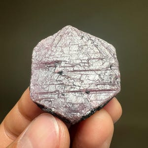May include: A rough, uncut gemstone with a multifaceted surface. The stone has a light purple hue with darker lines and black inclusions. The base of the stone is a dark, almost black color. The gemstone is held in a hand.