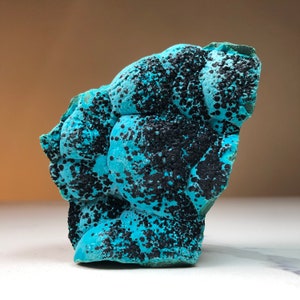 Chrysocolla on Malachite | Botryoidal Chrysocolla Malachite and Hematite Mineral Specimen