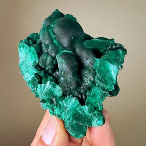 Malachit | Natürliches faseriges Malachit Mineral aus der DR Kongo