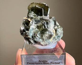 Apatite | Green Fluorapatite Crystal Cluster | Mineral Specimen from Portugal
