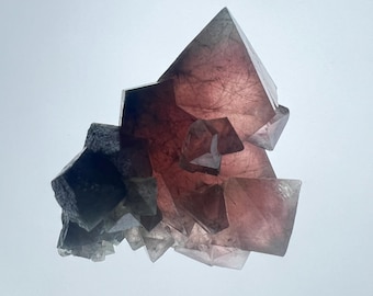Fluorita | Aglomerado de cristais octaédricos de fluorita rosa com inclusões de bissolita | Espécime mineral