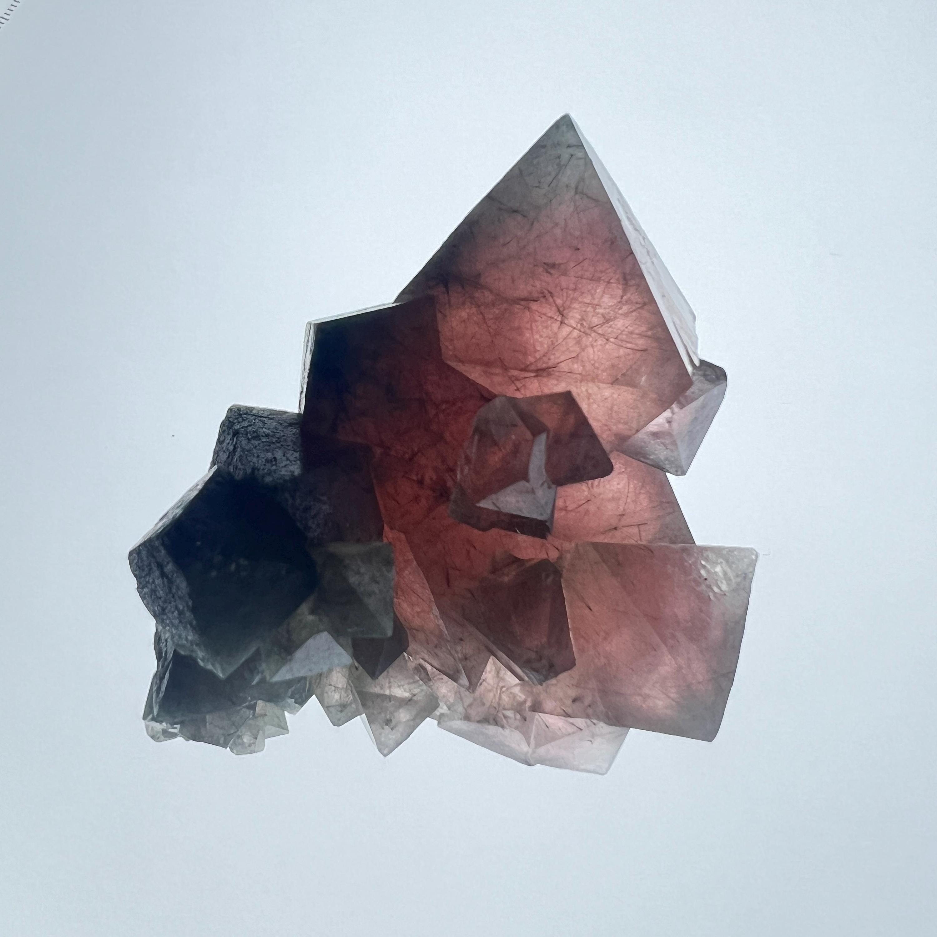 Fluorite | Pink Fluorite Octahedron Crystal Cluster With Byssolite