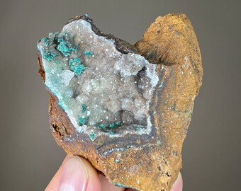 瑪瑙化サンゴ鉱物標本：ドゥルージー結晶を含むカルセドニー