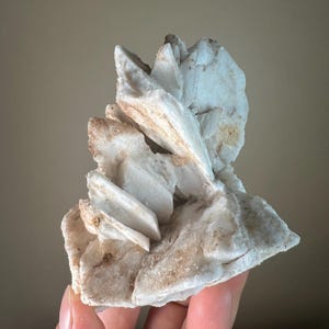 May include: A cluster of white selenite crystals with a rough, natural texture. The crystals are arranged in a fan-like shape, with some of the crystals pointing upwards.