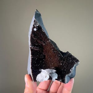 May include: A dark grey mineral specimen with a rough, textured surface. The interior reveals a cluster of small, dark brown crystals. A small, white, crystalline formation is present at the base, adding contrast. The overall shape is irregular and jagged.