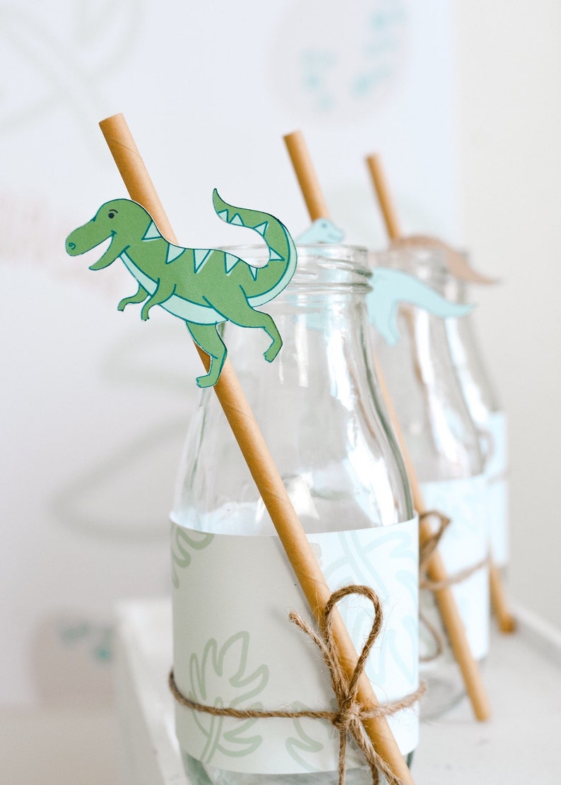 Dinosaur Paper Straws, Dinosaur Birthday Party, Three Rex, Jurassic Park Birthday Party, Jurassic World, Dinosaur Theme Straw Party Supplies image 5