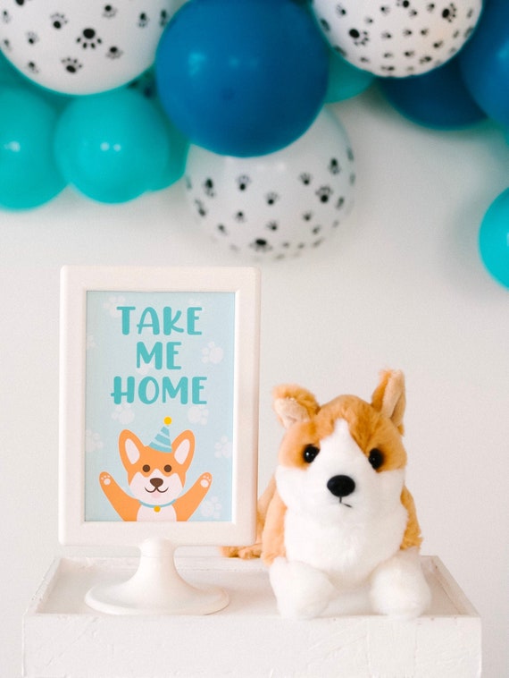 corgi themed birthday party