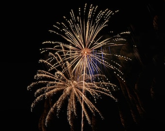 Fireworks Photo, Fourth of July, Art Print, "Gold Stars", Fine Art Photography, Long Exposure Photography, Celebration, Freedom Festival