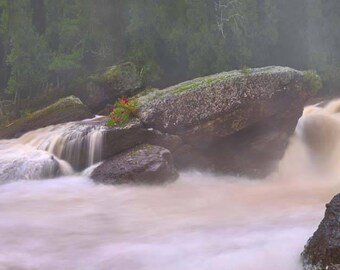 Waterfall Photo, Porcupine Mountains, Michigan, Landscape Photography, Nature Print, "Isle in the Mist", Fine Art Photography