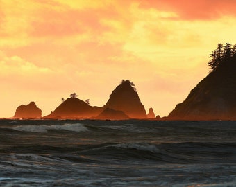 Misty Coast, Sunset Photo, Pacific Ocean, Olympic National Park, Landscape Photography, Fine Art Photography, Washington State