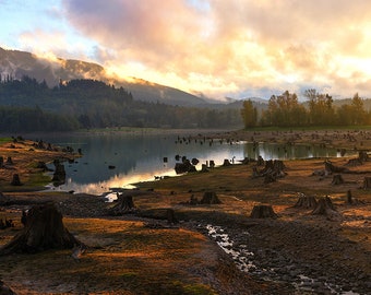 Golden Hour, Sunset Photo, Lake, Mountains, Stumps, Mount Rainier National Park, Landscape Photography, Fine Art Photography, Washington