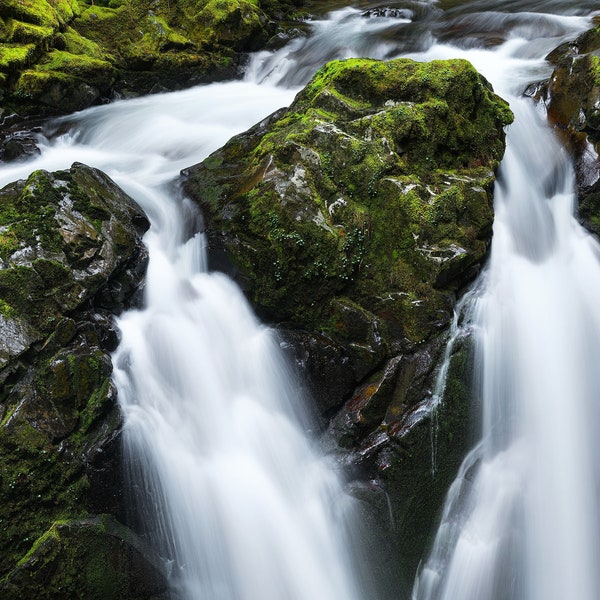 Rainy Sol Duc Falls, Forest Photo, River Photo, Waterfall Photo, Olympic National Park, Landscape Photography, Fine Art Photography