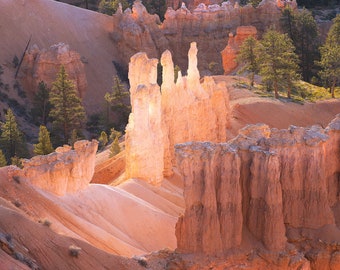 Hoodoo Magic, Bryce Canyon, American Southwest, Utah, Landscape Photography, Nature, Fine Art Photography, Sunrise, Morning, Beautiful