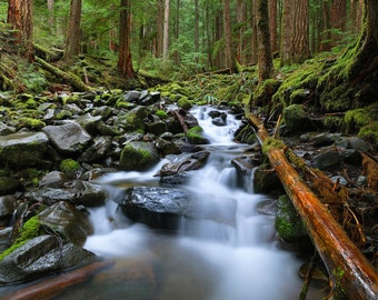 Little Sol Duc Falls, Forest Photo, River Photo, Waterfall Photo, Olympic National Park, Landscape Photography, Fine Art Photography