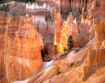 Canyon Glow, Bryce Canyon, American Southwest, Utah, Landscape Photography, Nature, Fine Art Photography, Sunrise, Morning, Beautiful, Bold