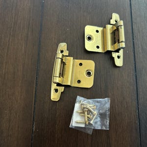May include: Two brass-colored cabinet hinges and a small bag of screws are displayed on a dark wood surface. The hinges are in an open position, showing their design. The screws are small and gold-toned.