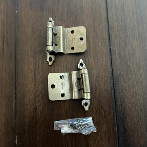 May include: Two antique brass cabinet hinges with mounting holes and a small packet of screws. The hinges are a warm, metallic color and are designed for overlay cabinet doors. The hardware is shown on a dark wood surface.
