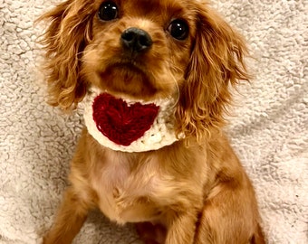 Puppy Snood