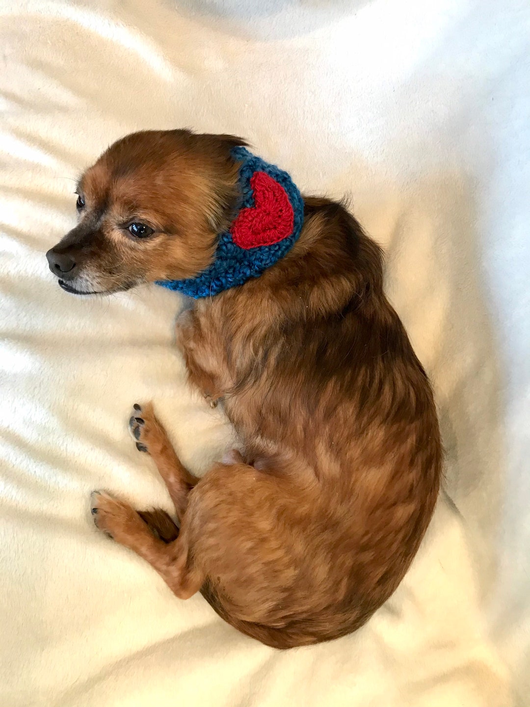 Dog Neckband/headband/snood Made to You Measurements Etsy