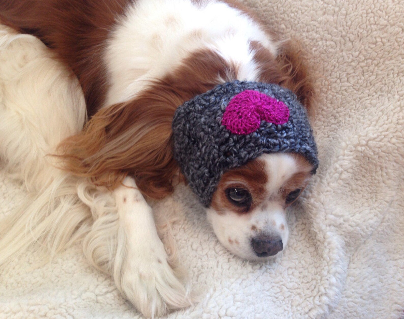 Dog Neckband/headband/snood Made to Your Measurements Etsy