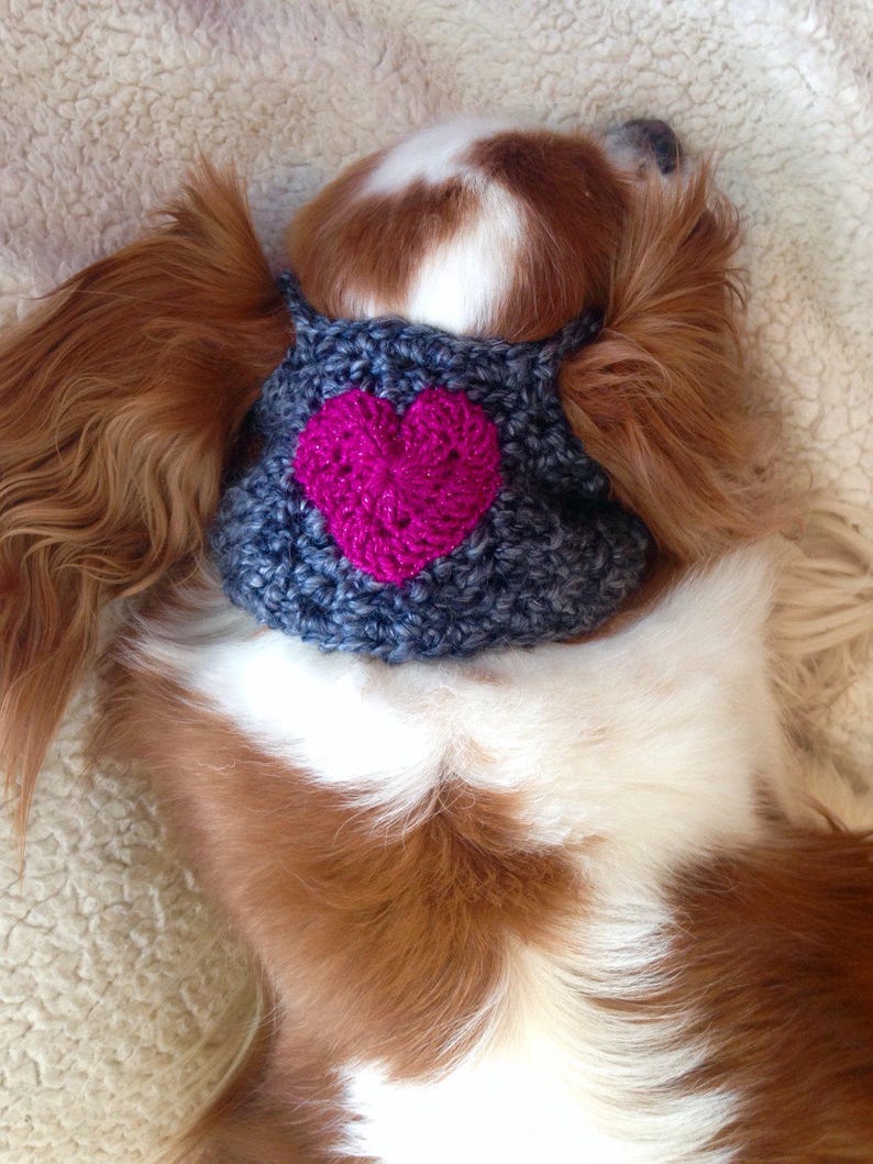 Dog Neckband/headband/snood Made to Your Measurements Etsy
