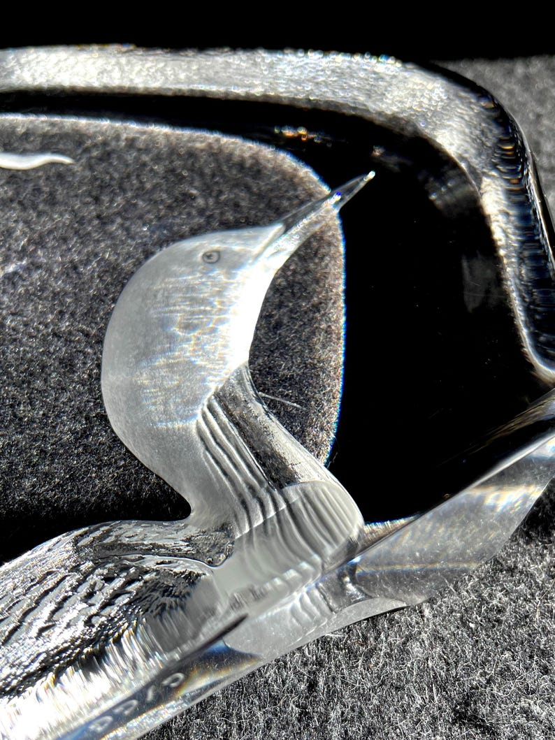 May include: A clear glass sculpture of a bird with a long, pointed beak. The bird's body has detailed feather patterns, and the sculpture is set against a dark background. The glass reflects light, creating highlights and shadows.