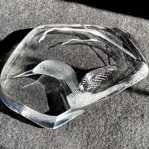 May include: A clear, glass sculpture of a bird, possibly a loon, with etched details. The bird is within a clear, rectangular frame with rounded edges. The bird's head and body are detailed with etched lines and textures.