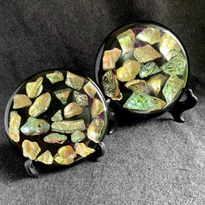 Abalone Muschel Untersetzer